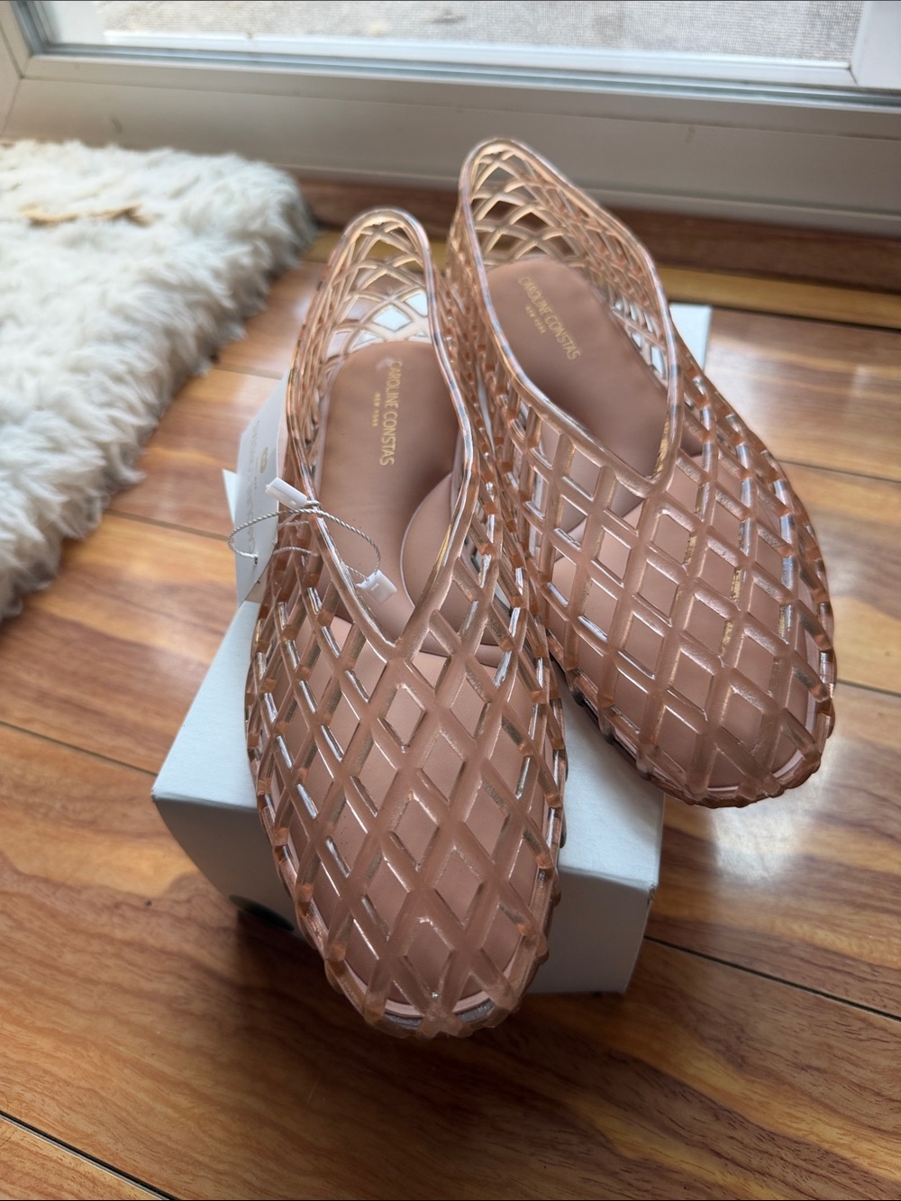 NWOB Caroline Constas Blush Pink Jelly Flats